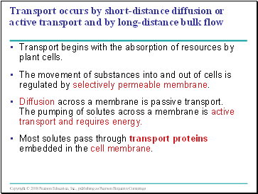 Transport occurs by short-distance diffusion or active transport and by long-distance bulk flow