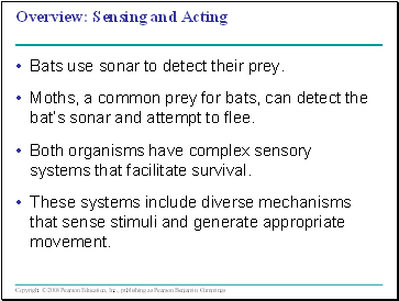 Sensing and Acting