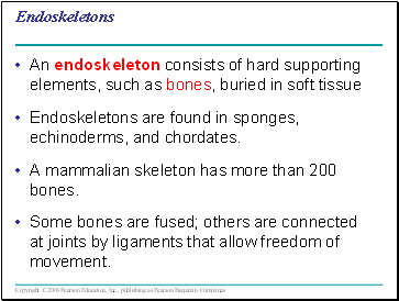 Endoskeletons