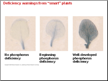Deficiency warnings from smart plants