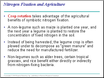 Nitrogen Fixation and Agriculture