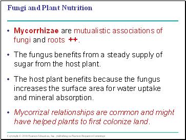 Fungi and Plant Nutrition