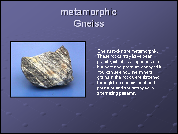 Metamorphic Gneiss