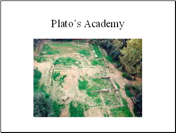 Platos Academy