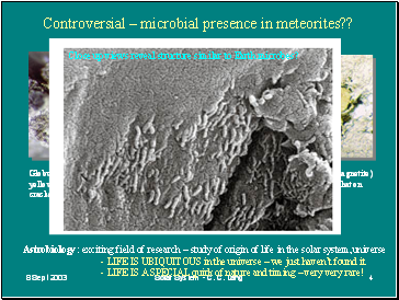 Controversial  microbial presence in meteorites??