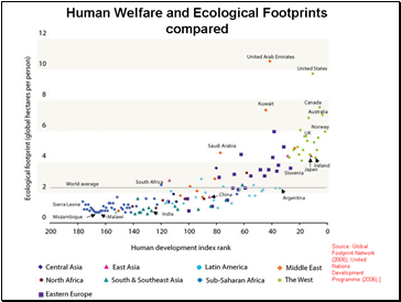 Ecological Behaviour