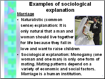 Examples of sociological explanation