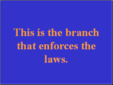 This is the branch that enforces the laws.