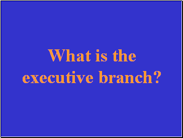 What is the executive branch?