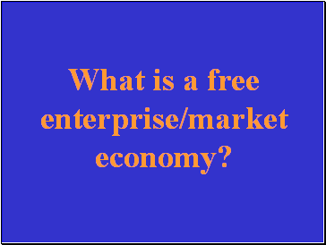 What is a free enterprise/market economy?