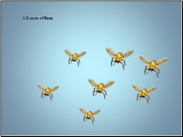 A Swarm of Bees