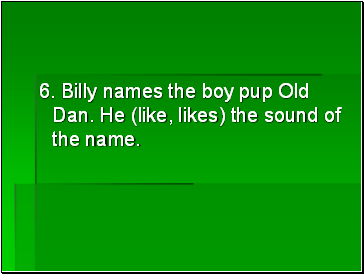 6. Billy names the boy pup Old Dan. He (like, likes) the sound of the name.