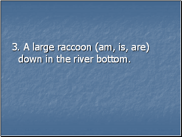 3. A large raccoon (am, is, are) down in the river bottom.