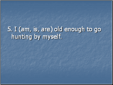 5. I (am, is, are) old enough to go hunting by myself.