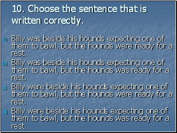 10. Choose the sentence that is written correctly.