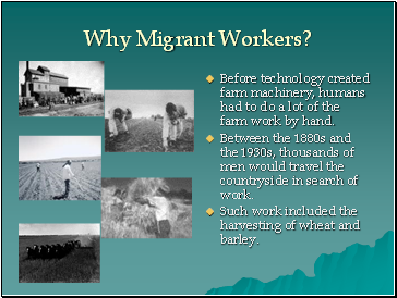 Why Migrant Workers?