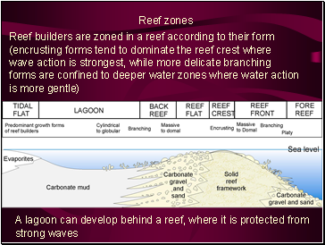 Reef zones