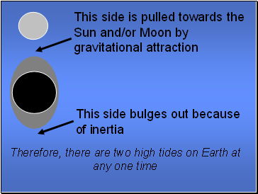 This side is pulled towards the Sun and/or Moon by gravitational attraction