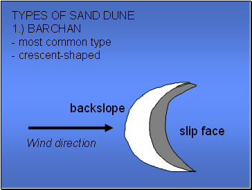Types of sand dune