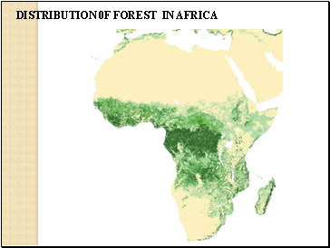 DISTRIBUTION 0F FOREST IN AFRICA