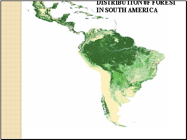 DISTRIBUTION 0F FOREST IN SOUTH AMERICA