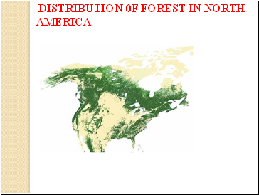 DISTRIBUTION 0F FOREST IN NORTH AMERICA