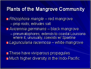 Plants of the Mangrove Community