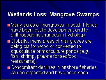 Wetlands Loss: Mangrove Swamps