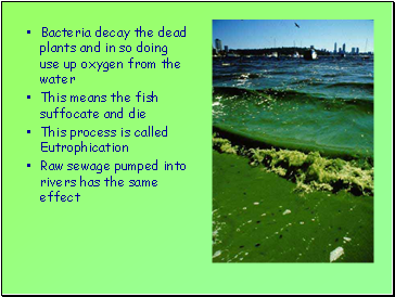 Bacteria decay the dead plants and in so doing use up oxygen from the water