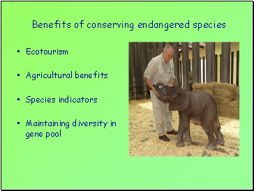 Benefits of conserving endangered species