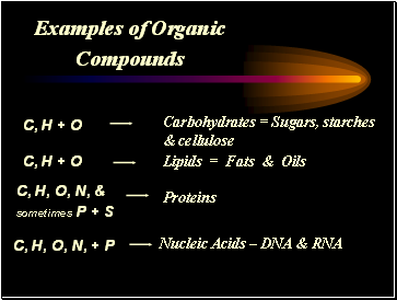 Examples of Organic Compounds