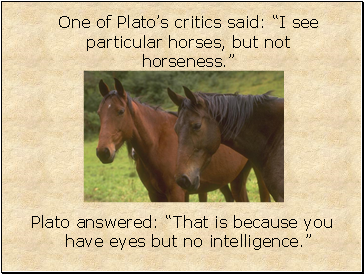 One of Platos critics said: I see particular horses, but not horseness.