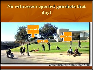 No witnesses reported gunshots that day!
