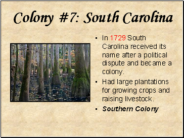 Colony #7: South Carolina