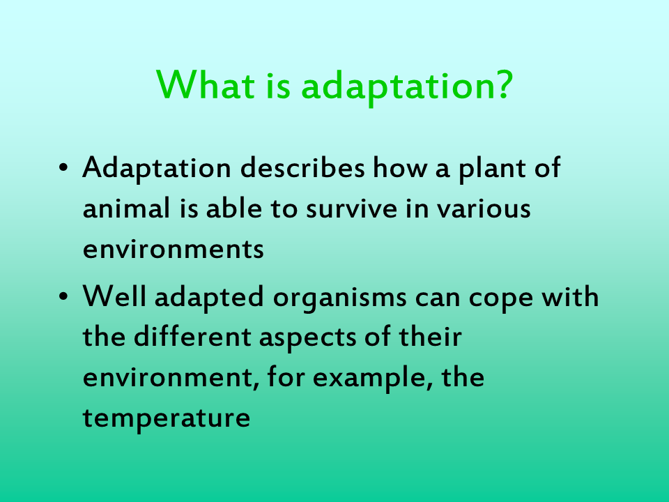 Adaptation Definition Biology What Is Adaptation? – Biology