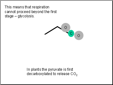 This means that respiration cannot proceed beyond the first stage  glycolysis.