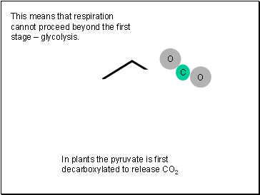 This means that respiration cannot proceed beyond the first stage  glycolysis.