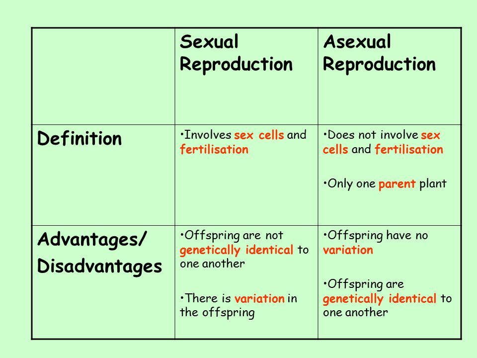 Asexual Reproduction Presentation Biology
