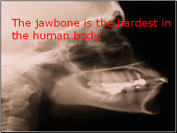 The jawbone is the hardest in