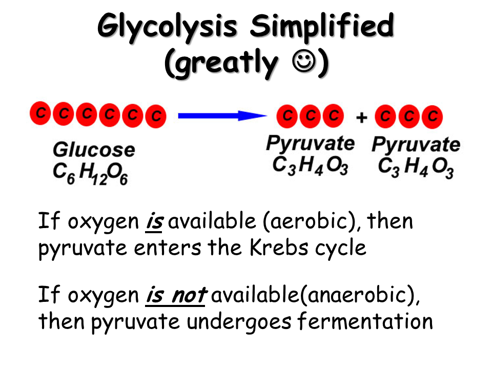 download structure and dynamics