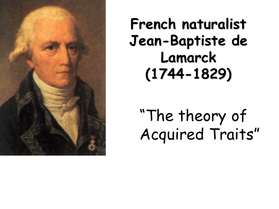 An Analysis of Jean De Blochs Theory