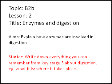 Enzymes and digestion