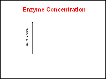 Enzyme Concentration