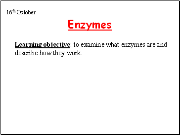Enzymes- What are they