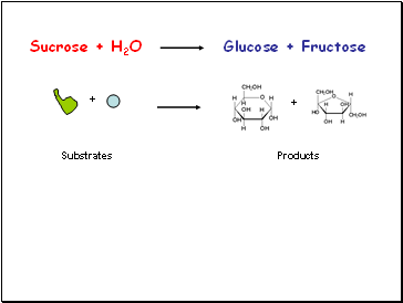 Sucrose + H2O