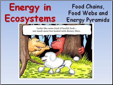 Food Webs. Energy Flow in Ecosystems