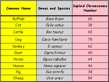 Chromosome number by species