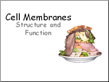 Membranes. Structure and Function