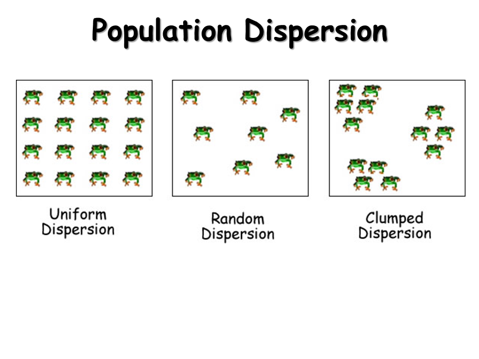 population distribution definition