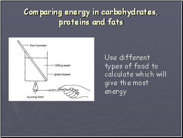 Comparing energy in carbohydrates, proteins and fats